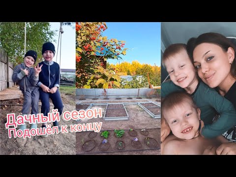 Видео: Последний ДАЧНЫЙ VLOG 🏡Снова заболели🤕 Досадила цветы🌷Обработала ягоду🍓