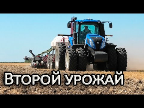 Видео: Второй урожай за сезон! Соя после озимого ячменя.