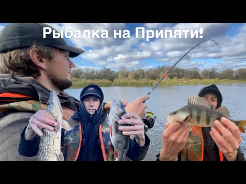 Видео: РЫБАЛКА НА УЛЬТРАЛАЙТ НА РЕКЕ ПРИПЯТЬ!