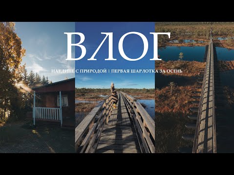 Видео: ВЛОГ: Снова уехали за город