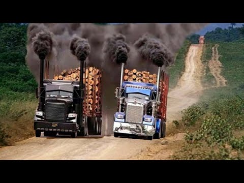 Видео: Опасная и быстрая валка деревьев с помощью бензопилы, оператора лесовоза и лесопильных машин