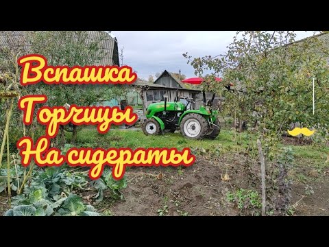 Видео: Вспашка горчицы на сидераты, немного о проблемах с трактором Catmann xd300
