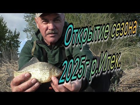 Видео: Ловля карася на донки  Берег усыпан рыбой. Открытие сезона весна 2025г р Илек г Актобе.