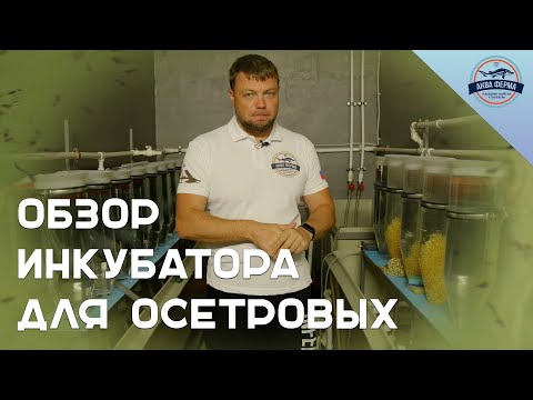 Видео: Обзор инкубатора для осетровых