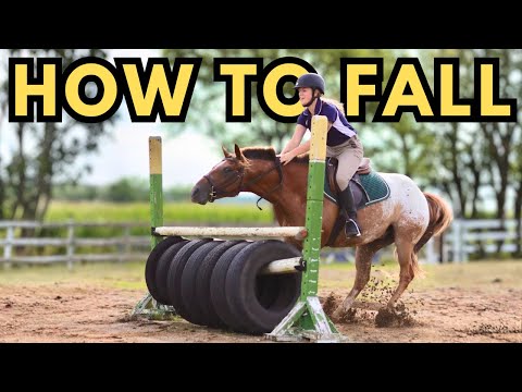 Видео: КАК УПАСТИСЬ С ЛОШАДИ