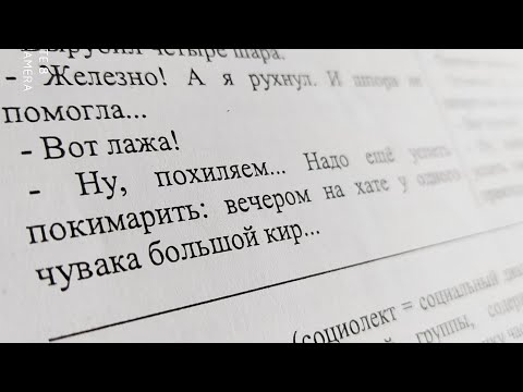 Видео: СТИЛИСТИКА. Жаргонная лексика в разговорном стиле речи.