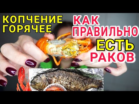Видео: Как правильно есть раков🦞Горячее КОПЧЕНИЕ - ПРОБУЮ, ЦЕНЫ / 8 марта на Дону 161 #DolceChris