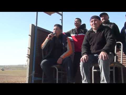 Видео: Атбұлақ 1986 жылғылардың кокпары