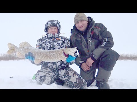 Видео: Рыбалка на гигантскую щуку и трофейного окуня. Ловим рыбу на жерлицы, вибы, ратлины, блесна. Fishing