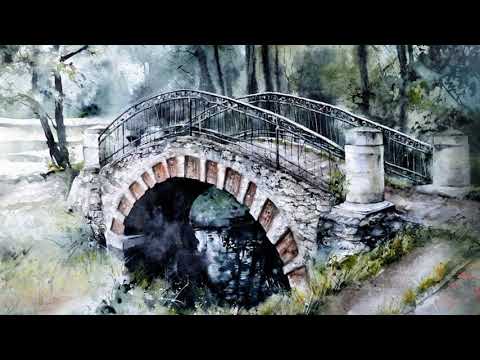 Видео: Александр Спиридонов   Брошка