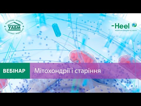 Видео: Мітохондрії та старіння