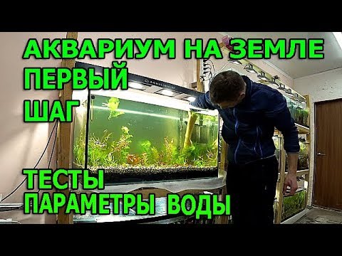 Видео: Посадка растений в аквариум на земле