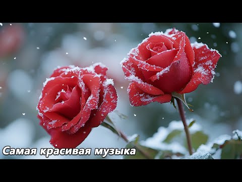 Видео: ВОССТАНОВЛЕНИЕ НЕРВОВ🌿Осенняя мелодия любви🌿Осень идёт🌿Музыка Сергея Грищука