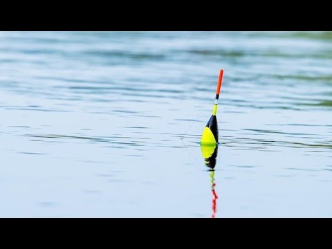 Видео: Рыбалка по вечерней зорьке ловля на поплавок.