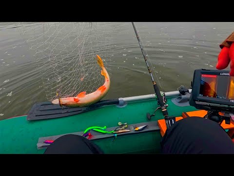 Видео: КАК найти  рыбу с  эхолотом Lowrance Hook Reveal 7 ?? Поиск новых точек для рыбалки!