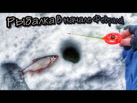 Видео: ОПУСТИЛ ЭТУ МОРМЫШКУ И КЛЮНУЛИ БАТОНЫ!