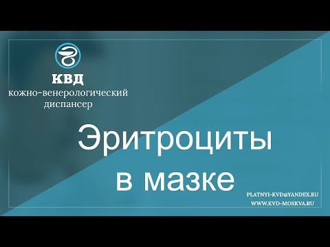 Видео: 255  Эритроциты в мазке