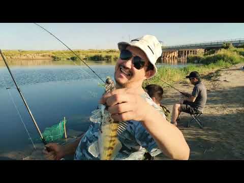 Видео: Арнасай. Золотой мост 13.08.2022г.