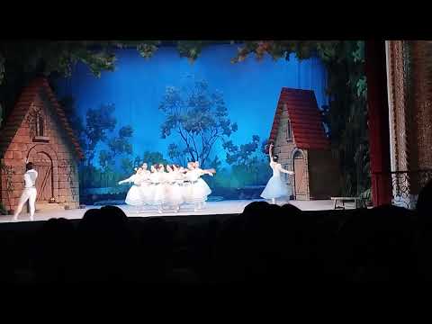 Видео: 9 ноября 2025 г.