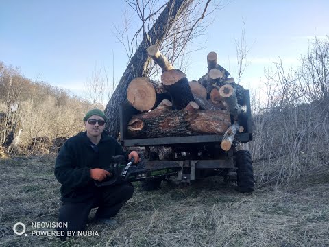 Видео: Вывозим дрова из глубокого оврага!