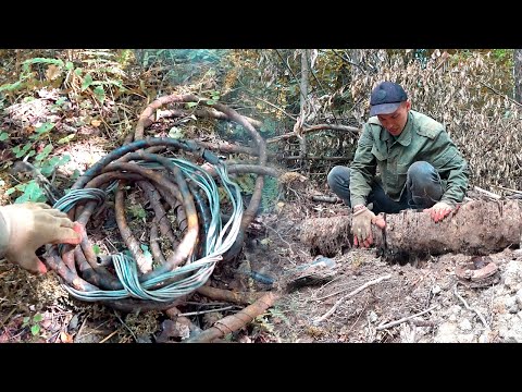 Видео: ОГО! ЗАЛЕЗ В КУСТЫ И РУКИ ЗАТРЯСЛИСЬ ОТ НАХОДКИ!