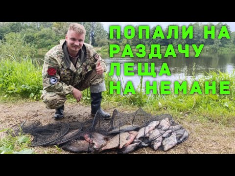 Видео: Ловля на дубины... Попали на раздачу леща на Немане... 