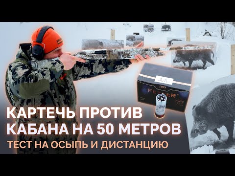 Видео: Картечь против кабана. Тест на разных дистанциях: осыпь и пробитие.