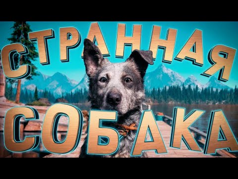 Видео: Странная собака (Разные шутеры)