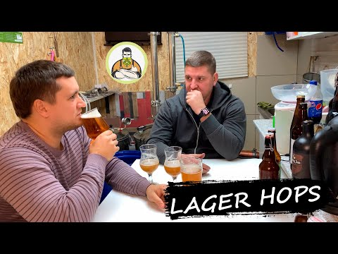Видео: ПИВО ЛАГЕР комнатный на супер дрожжах, 4 хмеля и с сухим охмелением! Lager dry hops.