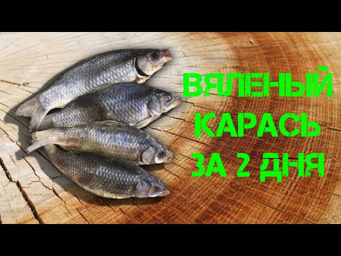 Видео: Вяленый Карась за 2 дня I Секретный рецепт