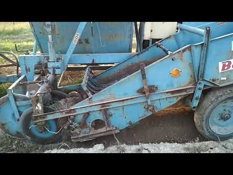 Видео: Копаємо картоплю. Трактор Т 30 + Картопле комбайн Bolko Z643