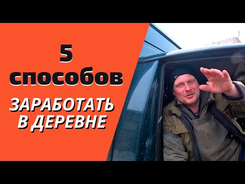 Видео: Заработок в деревне. 5 способов заработать деньги в деревне. Вьетнамские свиньи-вес в 15 дней.