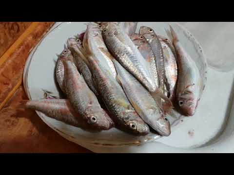 Видео: Жареная барабулька - очень быстро и просто