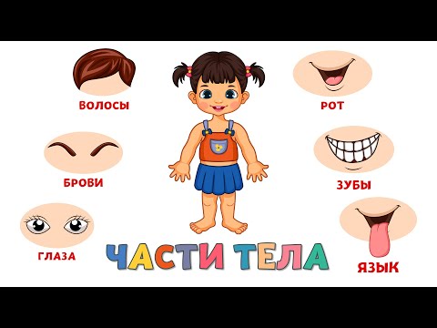 Видео: Учим части тела для детей Развивающие мультики для малышей