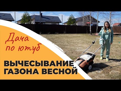 Видео: СКАРИФИКАЦИЯ ГАЗОНА ВЕСНОЙ | зачем вычесывать газон | уход за газоном