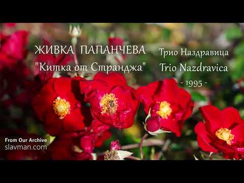Видео: Трио Наздравица | Китка от Странджа (Official)