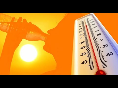Видео: Сердце и жара, Сердечно сосудистая система в жару, как помочь и профилактика сердечно-сосудистых...