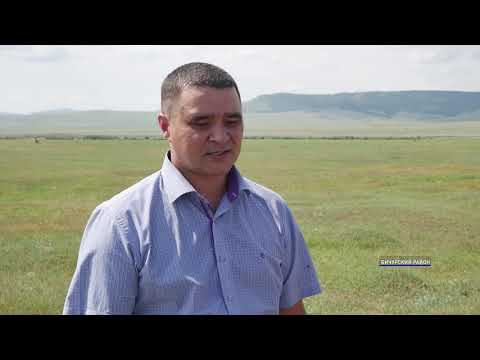 Видео: В Бичурском районе бизнесмен восстанавливает знаменитый колхоз имени Калинина