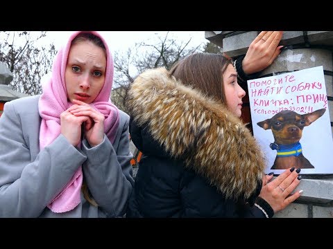 Видео: Капа ПОТЕРЯЛА ПРИНЦА!! Ищем СОБАКУ Дианы