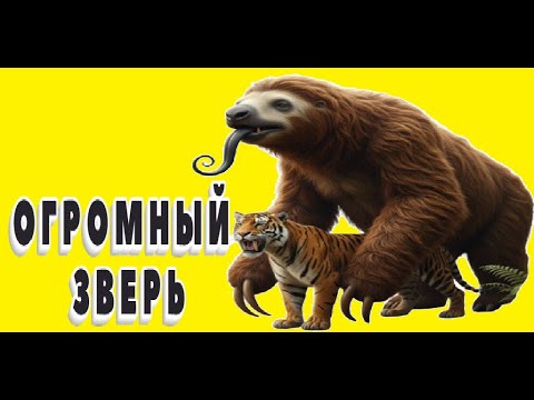Видео: Огромный зверь - Мегатерий, которого боялись саблезубые тигры | Рассказы перед сном