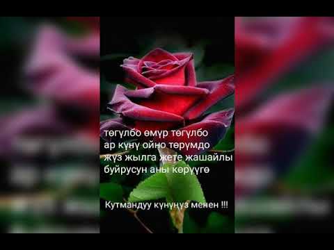 Видео: Классташтарым 77.Мин куш.
