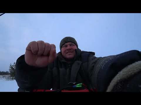 Видео: БЕРКУТ ПО ОЧЕНЬ ПУХЛОМУ И ГЛУБОКОМУ СНЕГУ .И ВСЁТАКИ Я ЕГО ЗАСАДИЛ.ЖЁСТКИЕ ИСПЫТАНИЯ СНЕГОХОД БЕРКУТ