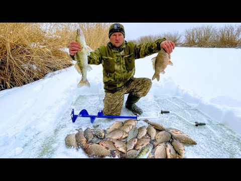 Видео: Тянут хапугу на дно или рыбалка на хапугу в Сибири. Наткнулись на рыбье эльдорадо. Нахреначили рыбы.