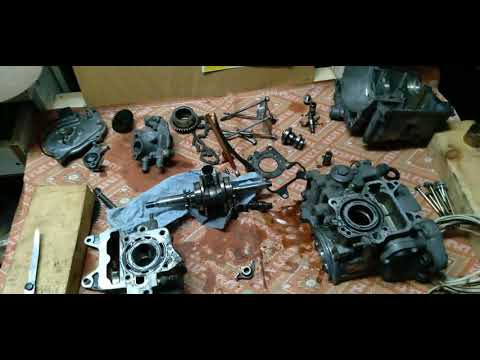 Видео: ОЦЕНКА СОСТОЯНИЯ МОТОРА HONDA AF55E (F00170) №2 RU