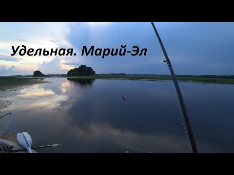 Видео: Рыбалка на хищника в заводях Волги. Спиннинг и кружки. Удельная. Марий-эл.