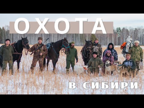 Видео: На лошадях за лосем. Конная охота | Александр Обжерин