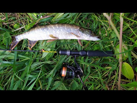 Видео: #181 Мормышинг | Микро речка | Black Adder BA562XUL-S-20 (0.5-1.2гр.)