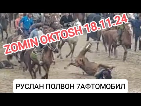 Видео: ЗОМИН ОКТОШ КУПКАРИ 18.11.2024