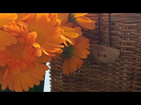 Видео: Носки🧦, шкатулки🧺, рыбалка🐟🐟, огород🌳🌳 и всё это в одном видео