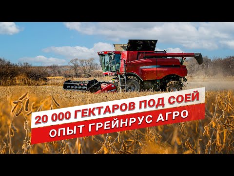 Видео: Как заработать на сое? | Опыт выращивания сои | Грейнрус Агро | Главные по сое